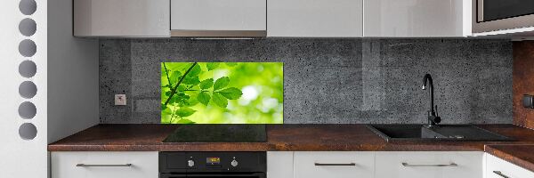 Panneau crédence cuisine Feuilles vertes