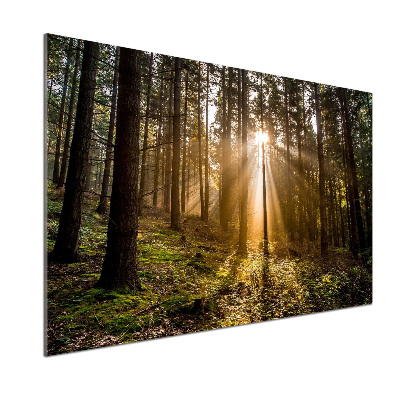 Crédence en verre avec motif Lumière du soleil