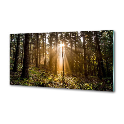 Crédence en verre avec motif Lumière du soleil