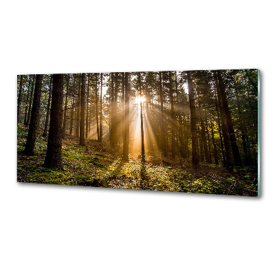 Crédence en verre avec motif Lumière du soleil