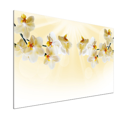 Crédence en verre Orchidée