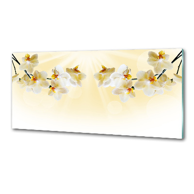 Crédence en verre Orchidée