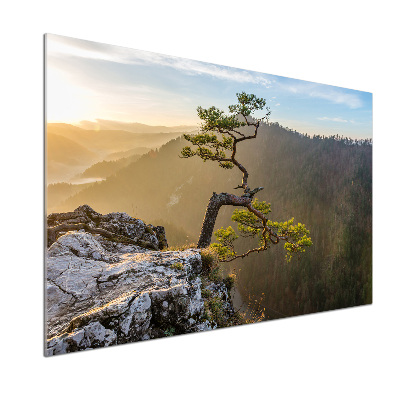 Crédence en verre avec motif Sokolica Pieniny