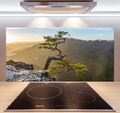 Crédence en verre avec motif Sokolica Pieniny