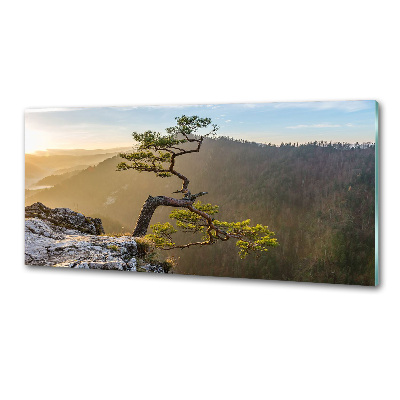 Crédence en verre avec motif Sokolica Pieniny