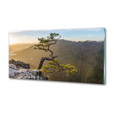 Crédence en verre avec motif Sokolica Pieniny