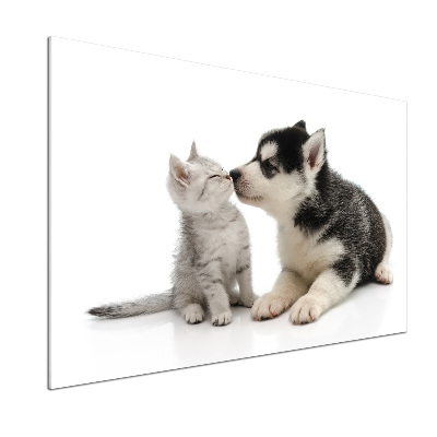 Crédence en verre cuisine Chien et chat