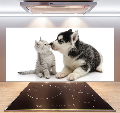 Crédence en verre cuisine Chien et chat