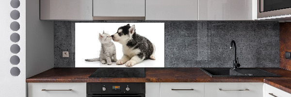 Crédence en verre cuisine Chien et chat