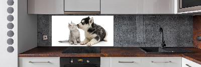 Crédence en verre cuisine Chien et chat
