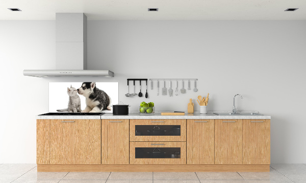 Crédence en verre cuisine Chien et chat