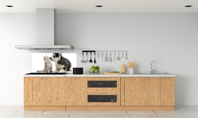 Crédence en verre cuisine Chien et chat