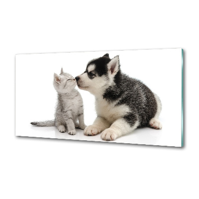Crédence en verre cuisine Chien et chat