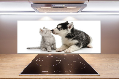 Crédence en verre cuisine Chien et chat