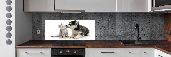 Crédence en verre cuisine Chien et chat