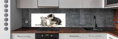 Crédence en verre cuisine Chien et chat