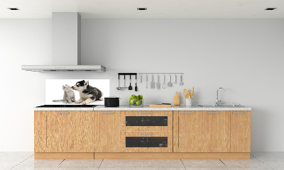 Crédence en verre cuisine Chien et chat