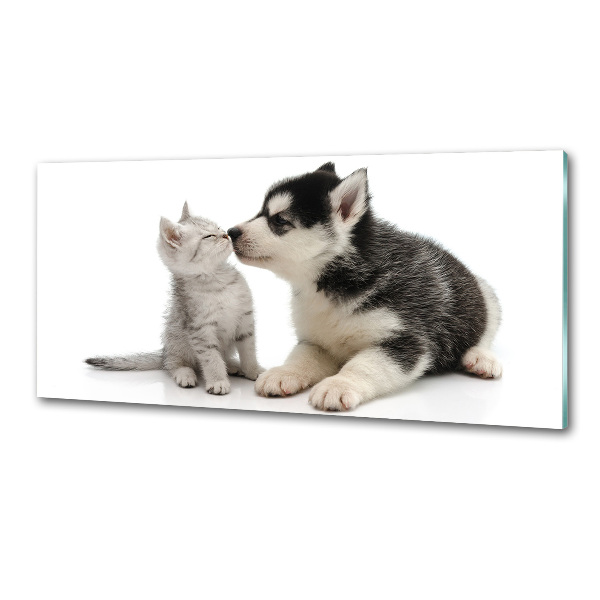 Crédence en verre cuisine Chien et chat