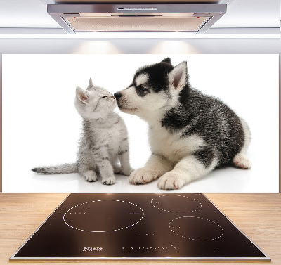 Crédence en verre cuisine Chien et chat
