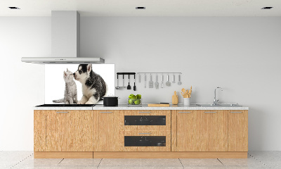 Crédence en verre cuisine Chien et chat