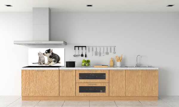 Crédence en verre cuisine Chien et chat