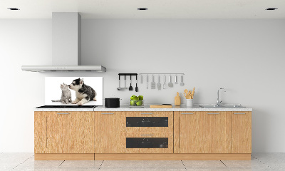Crédence en verre cuisine Chien et chat