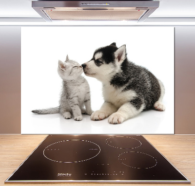 Crédence en verre cuisine Chien et chat