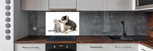 Crédence en verre cuisine Chien et chat
