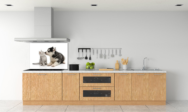 Crédence en verre cuisine Chien et chat