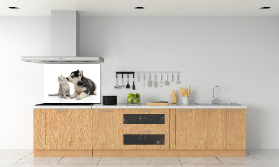 Crédence en verre cuisine Chien et chat