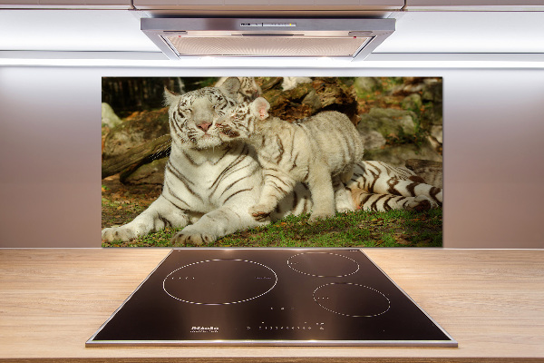 Panneau pour cuisine Tigres