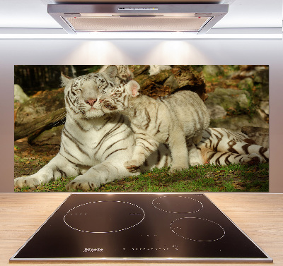 Panneau pour cuisine Tigres
