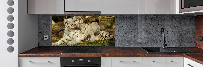 Panneau pour cuisine Tigres