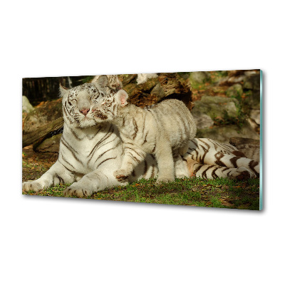Panneau pour cuisine Tigres