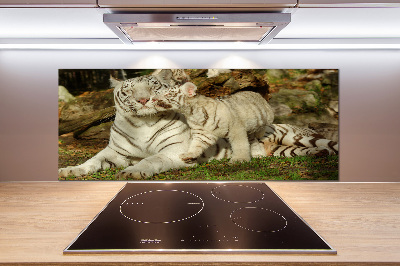 Panneau pour cuisine Tigres