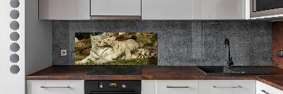 Panneau pour cuisine Tigres