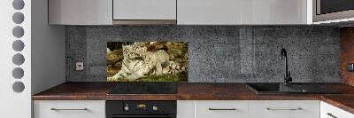 Panneau pour cuisine Tigres