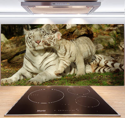 Panneau pour cuisine Tigres