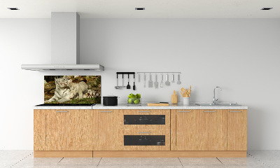 Panneau pour cuisine Tigres