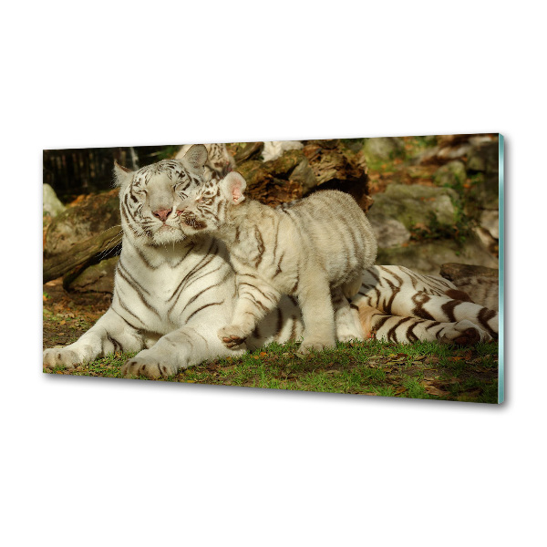 Panneau pour cuisine Tigres