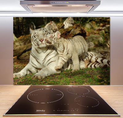 Panneau pour cuisine Tigres