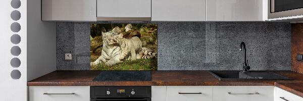 Panneau pour cuisine Tigres