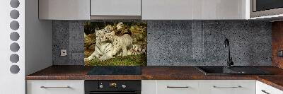 Panneau pour cuisine Tigres
