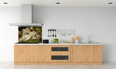 Panneau pour cuisine Tigres