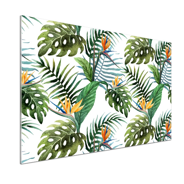 Panneau crédence cuisine Feuilles de monstera exotique