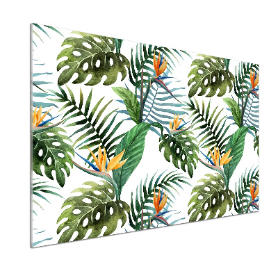 Panneau crédence cuisine Feuilles de monstera exotique