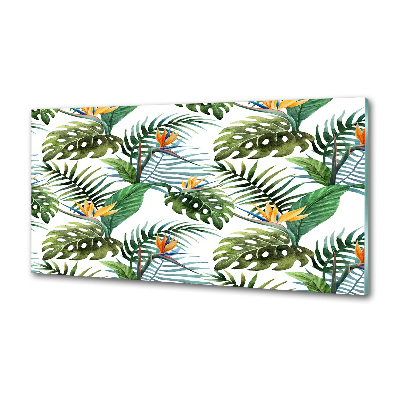 Panneau crédence cuisine Feuilles de monstera exotique