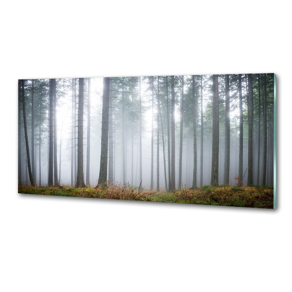 Panneau pour cuisine Brume dans la forêt