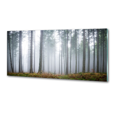 Panneau pour cuisine Brume dans la forêt