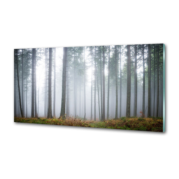 Panneau pour cuisine Brume dans la forêt